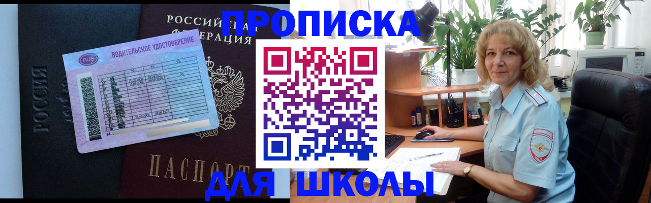 где прописаться в Пионерском